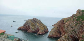 Berlenga