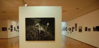 Exposições de fotografia