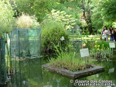 Conhecer os jardins de Lisboa – duas propostas a não perder