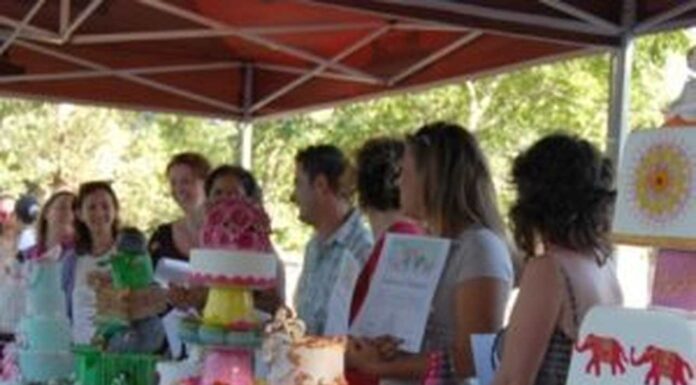 Piquenicake nas Gaeiras atrai designers de doces de todo o país