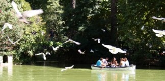 Andar de barco no lago do Parque continua a ser uma actividade divertida e muito procurada Lago do Parque