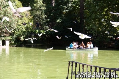 Andar de barco no lago do Parque continua a ser uma actividade divertida e muito procurada Lago do Parque