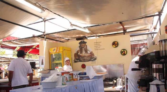 Festa do Avante!: uma viagem à Quinta da Atalaia na companhia dos camaradas Standard Caldas