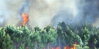 Setembro termina com incêndios na região Cezaredas
