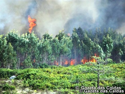 Setembro termina com incêndios na região