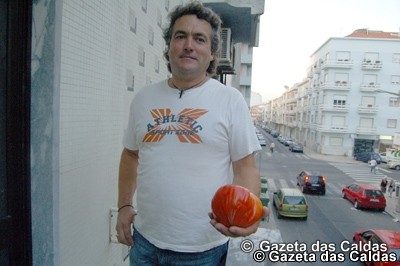 Tomates com mais de um quilo cresce em horta do Reguengo da Parada