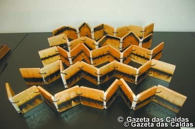 Acontecimentos Culturais Escultura em Madeira