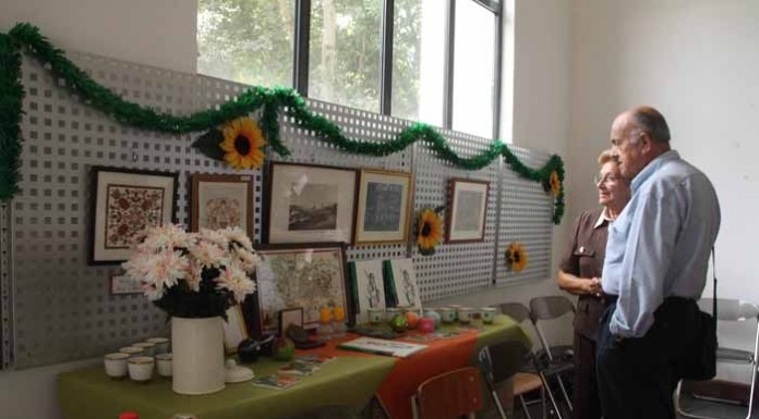 Quermesse ajuda a financiar restauro de peças do Museu Malhoa