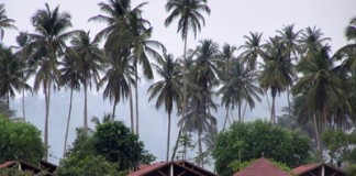 “S. Tomé e Príncipe é um pedaço de paraíso” S. Tomé e Príncipe