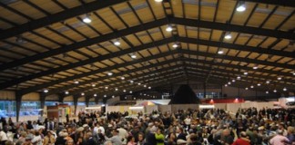 Natal Sénior comemorado com tarde de animação e música