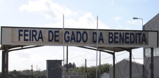 Feira do Gado da Benedita sem recomeço à vista