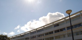 Caldas, Óbidos, Alcobaça e Nazaré deverão ganhar monumentos este ano notícias das Caldas