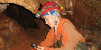 notícias das Caldas