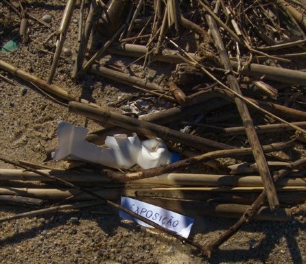 Fotografias de Stefano Urani na Casa Bernardo notícias das Caldas