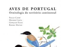 notícias das Caldas