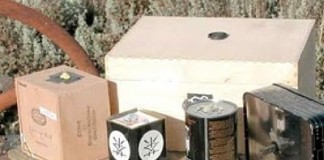 notícias das Caldas