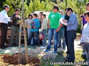 As árvores em Óbidos foram plantadas sob as orientações dos responsáveis do gabinete florestal notícias das Caldas