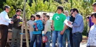 Crianças e jovens contribuem para uma região mais verde notícias das Caldas