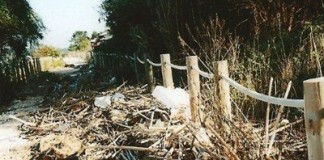 Correio dos Leitores notícias das Caldas