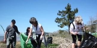 Um exercício de cidadania nas margens da Lagoa notícias das Caldas