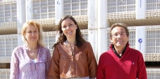 notícias das Caldas