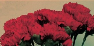 Programa do 25 de Abril nas Caldas notícias das Caldas