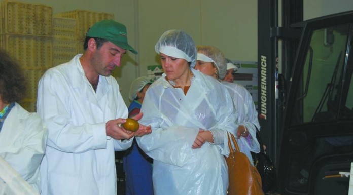 Cabeça de lista do CDS/PP por Leiria visitou central fruteira do Bombarral notícias das Caldas