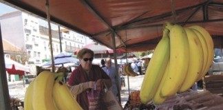 Local provisório para a Praça da Fruta não deve ficar longe do actual