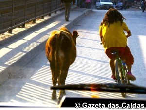“Imagens paralelas” notícias das Caldas