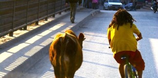 O Nepal sob o olhar de Mário Rui Araújo no CCC notícias das Caldas