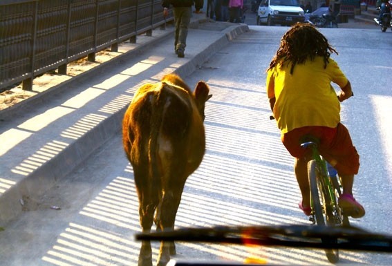 O Nepal sob o olhar de Mário Rui Araújo no CCC notícias das Caldas