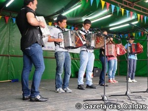 concertinas notícias das Caldas