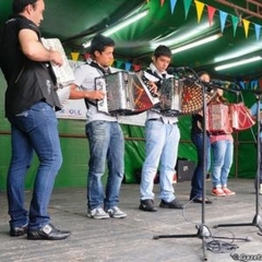 Gaeiras repete êxito em encontro nacional de concertinas