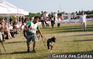 Nelson Pereira notícias das Caldas