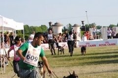 São caldenses os “cãopeões” do mundo