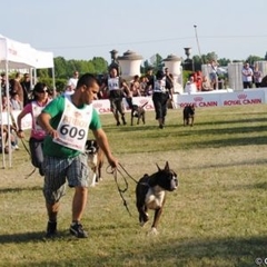 São caldenses os “cãopeões” do mundo
