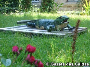 Museu de Cerâmica notícias das Caldas