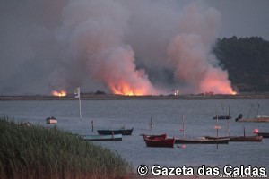 incêndio notícias das Caldas