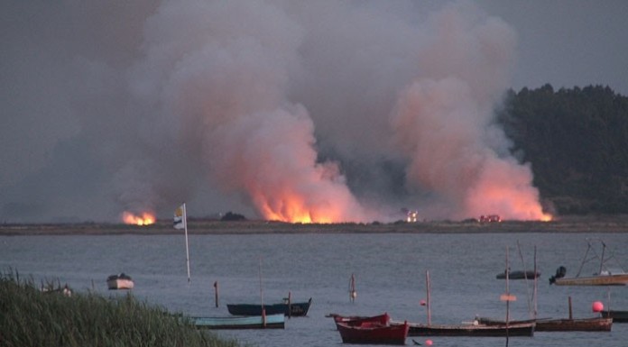Um incêndio em noite de Verão no Arelho notícias das Caldas