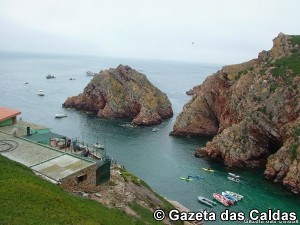 Berlengas notícias das Caldas