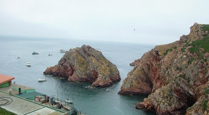 Berlengas já são Reserva Mundial da Biosfera notícias das Caldas
