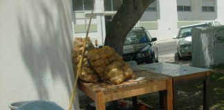 No que se transformou o Largo do Colégio Militar notícias das Caldas