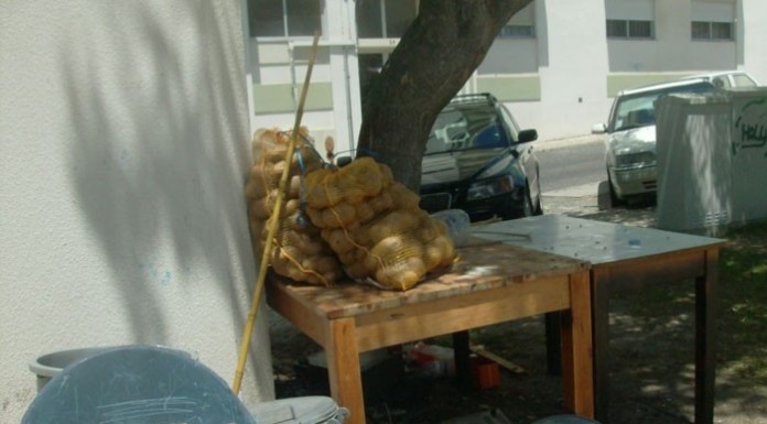 No que se transformou o Largo do Colégio Militar notícias das Caldas