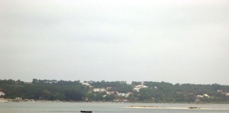 Deputada caldense questiona ministra sobre a Lagoa de Óbidos notícias das Caldas