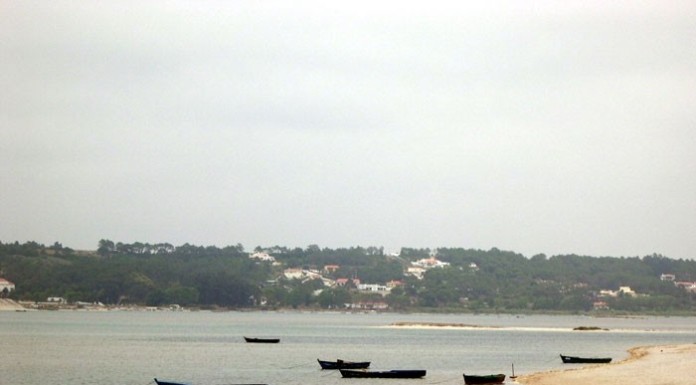 Deputada caldense questiona ministra sobre a Lagoa de Óbidos notícias das Caldas