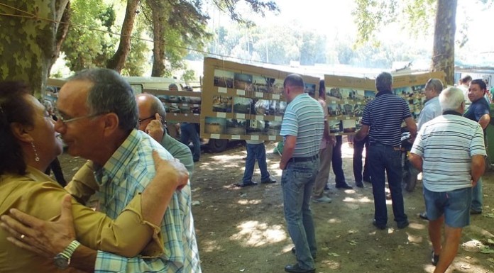 Caldas da Rainha pode perder encontros dos “Inseparáveis da Huíla” notícias das Caldas