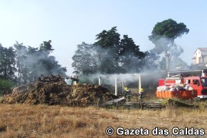 Incêndio em estábulo notícias das Caldas