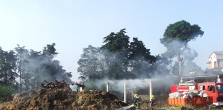 Ocorrências Policiais – Incêndio em estábulo mata dezenas de animais notícias das Caldas