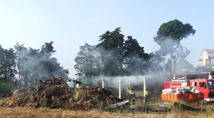 Ocorrências Policiais – Incêndio em estábulo mata dezenas de animais notícias das Caldas