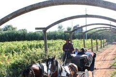 Bombarral comemorou 97 anos e homenageou instituições centenárias